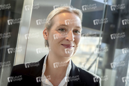 Wahlparty der AfD nach der Abgeordnetenhauswahl in Berlin