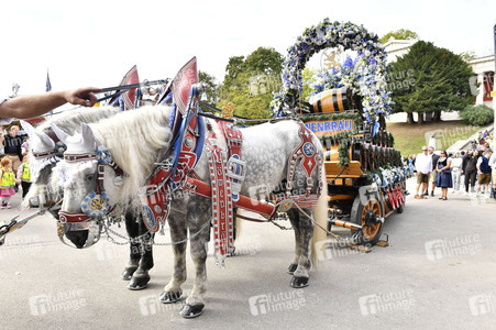 Regines Damenwiesn beim Oktoberfest 2026 in München