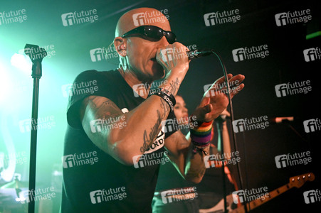 Konzert von Los Fastidios in Hannover