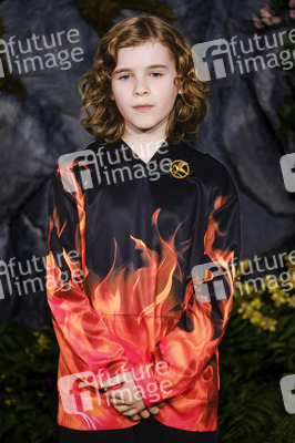 Fan-Screening 'Die Tribute von Panem: Sunrise on the Reaping' in London