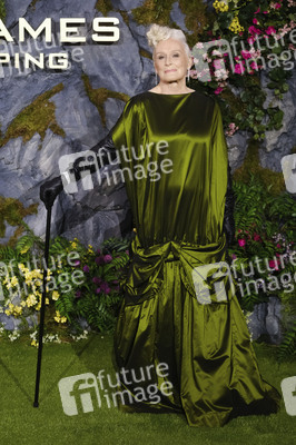 Fan-Screening 'Die Tribute von Panem: Sunrise on the Reaping' in London