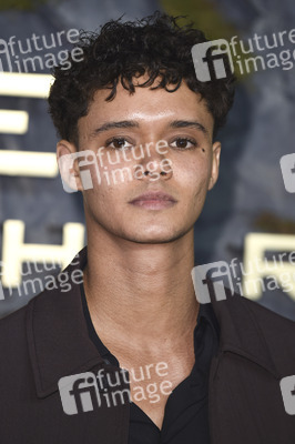 Fan-Screening 'Die Tribute von Panem: Sunrise on the Reaping' in London
