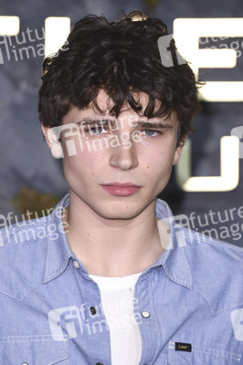 Fan-Screening 'Die Tribute von Panem: Sunrise on the Reaping' in London