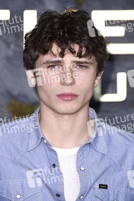 Fan-Screening 'Die Tribute von Panem: Sunrise on the Reaping' in London
