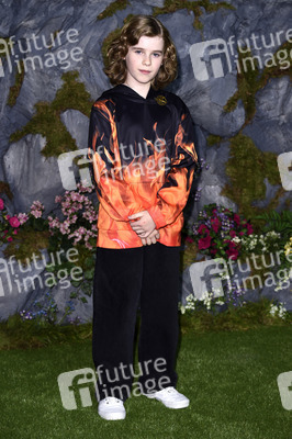 Fan-Screening 'Die Tribute von Panem: Sunrise on the Reaping' in London