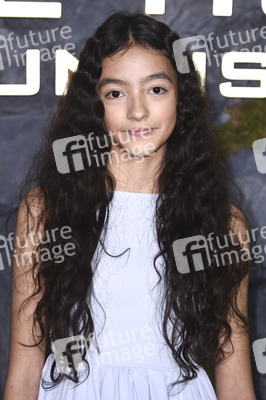 Fan-Screening 'Die Tribute von Panem: Sunrise on the Reaping' in London