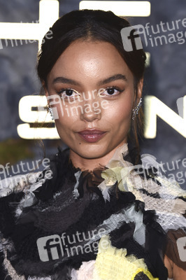 Fan-Screening 'Die Tribute von Panem: Sunrise on the Reaping' in London