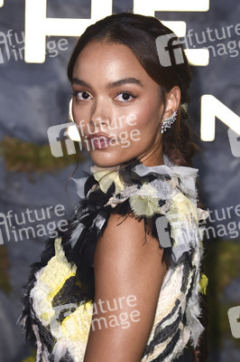 Fan-Screening 'Die Tribute von Panem: Sunrise on the Reaping' in London