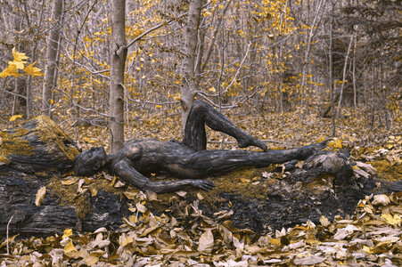 26.11.2025<br>NATURE ART:  Herbst / Autumn Bodypainting