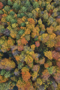 30.10.2025<br>Symbolfoto Herbst