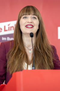 22.09.2026<br>Fraktionssitzung der Bundestagsfraktion der Partei Die Linke in Berlin