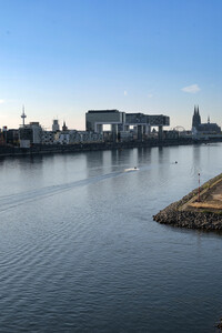 13.08.2026<br>Historisches Niedrigwasser im Rhein in Köln