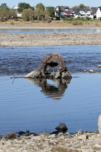 13.08.2026<br>Historisches Niedrigwasser im Rhein bei Bornheim