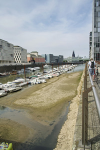 16.08.2026<br>Niedrigwasser im Rhein in Köln