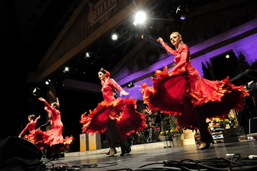 Deutsches Fernsehballett des MDR