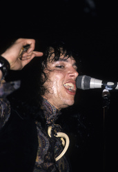 Konzert von The Fuzztones in London