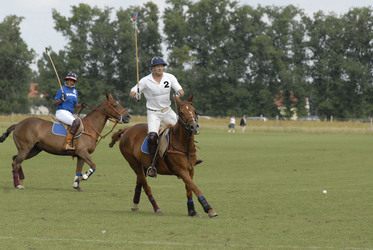 Rosalind Baffoe, Heino Ferch