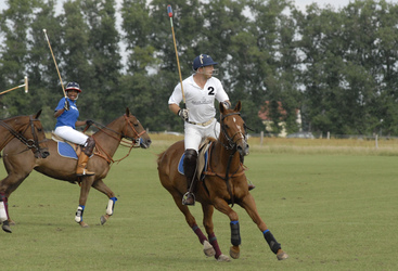 Rosalind Baffoe, Heino Ferch