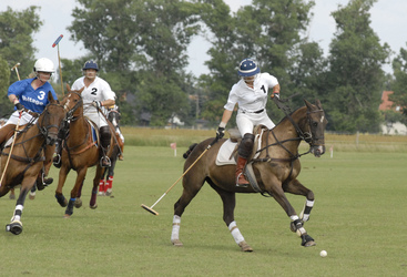 Bettina Hoy, Heino Ferch, Marie-Jeanette Steinle