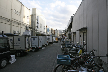 Fischtransporter am Fischmarkt
