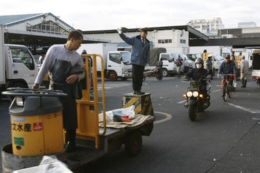 Kreuzung auf dem Gelände vom Fischmarkt