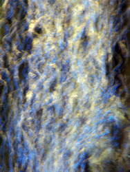 Luftblasen im Wasser