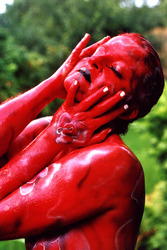 Rosenregen / Rose-rain