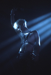 Martin L. Gore