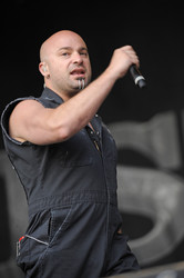 David Draiman
