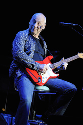 Mark Knopfler (Dire Straits, The Notting Hillbillies)