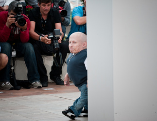 Verne Troyer