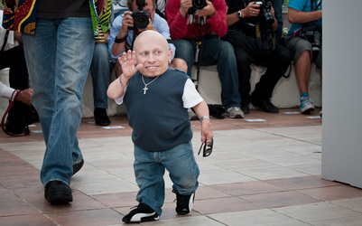Verne Troyer