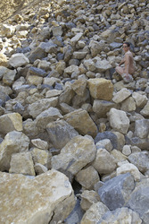 Suchbild / Search Photo