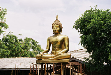 Buddha Statue