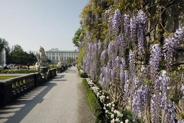 Schloss Mirabell