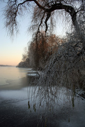 See im Winter