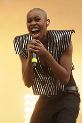 Skin (Skunk Anansie)