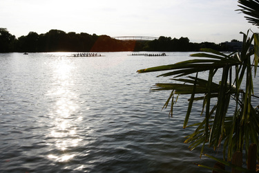 Ruderer auf dem Maschsee