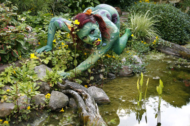 Pflanzenfrau / Plant-Woman