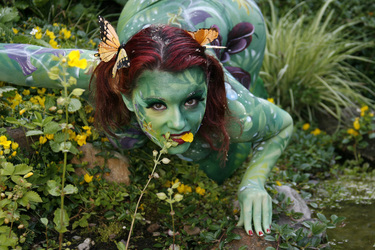 Pflanzenfrau / Plant-Woman