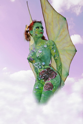 Schmetterling / Butterfly