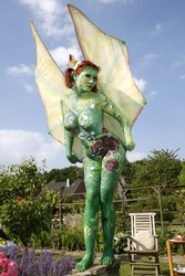 Schmetterling / Butterfly