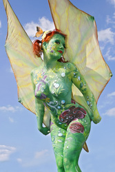 Schmetterling / Butterfly