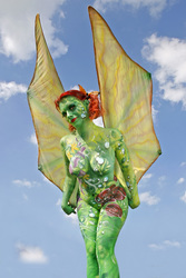 Schmetterling / Butterfly