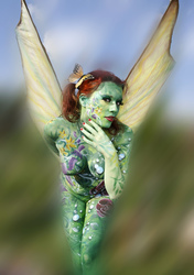 Schmetterling / Butterfly