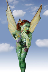 Schmetterling / Butterfly