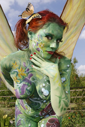 Schmetterling / Butterfly