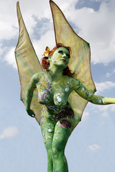 Schmetterling / Butterfly