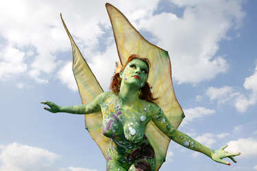 Schmetterling / Butterfly