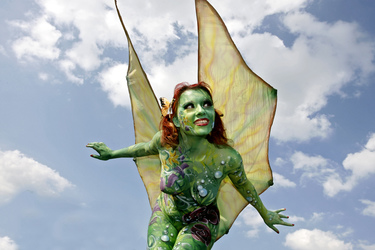 Schmetterling / Butterfly